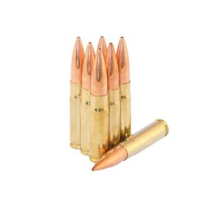 300 Blackout w/ 220 gr. BTHP Subsonic Ammunition (50 Rounds) Re-Manufactured Ammunition